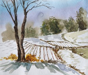 Winterfeldlandschaft