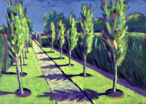 Allee