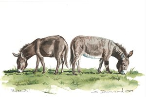 Buchstützen, 2024 von Sarah Drummond