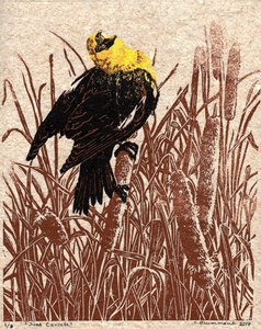 Rohrkolben-Kantate, 2017 von Sarah Drummond