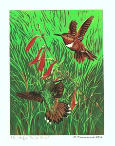 Rufus Pas de Deux, 2016 von Sarah Drummond