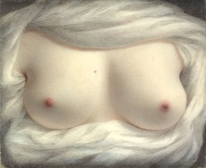 Enthüllte Schönheit, 1828
