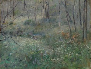 Wilde Petersilie, 1900