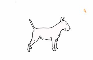 Bullterrier von Sarah Thompson Engels