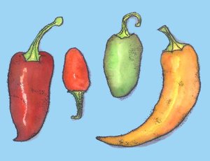 Chilischoten