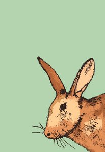 Hase, 2014