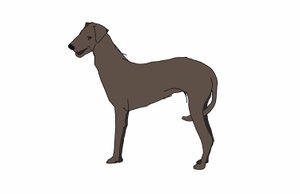 Jagdhund