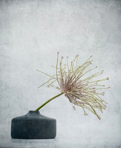 Zartes botanisches Stillleben von Saskia Dingemans