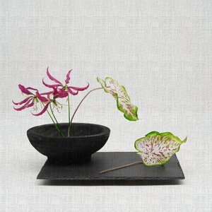 Elegante botanische Anordnung von Saskia Dingemans