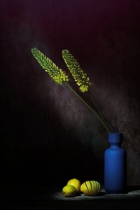 Stimmungsvolle gelbe Blumen Zitronen von Saskia Dingemans