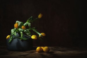 Stimmungsvolle gelbe Tulpen-Stillleben