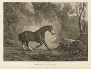 Pferd startet von Sawrey (after) Gilpin