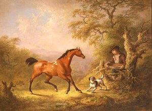 Ein Stallbursche füttert ein Pferd