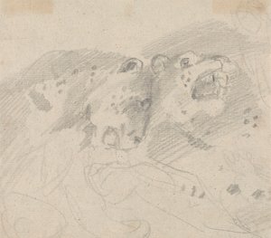 Zwei Leoparden von Sawrey Gilpin