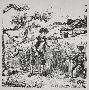 Eine Familie bei der Ernte von Mais von School American