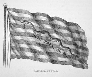Die amerikanische Marineflagge, wie sie von John Paul Jones gehisst wurde von School American