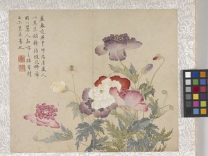 8-Blatt-Album von Blumen, Mitte 1700er von School Chinese