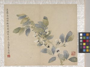 8-Blatt-Album mit Blumen, Mitte 1700er
