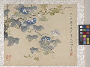8-Blatt-Album von Blumen, Mitte 1700er von School Chinese