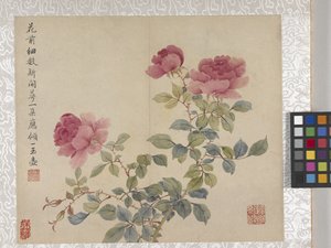 8-Blatt-Album von Blumen, Mitte 1700er von School Chinese