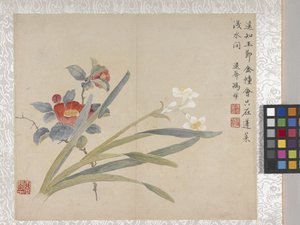 8-Blatt-Album der Blumen, Mitte 1700er Jahre von School Chinese