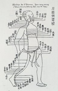 Akupunktur: „Meridian des Magens“ von School Chinese