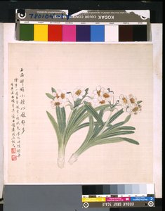 Album von Blumen und Vögeln, unbekanntes Datum von School Chinese
