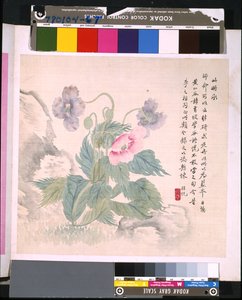 Album von Blumen und Vögeln, Datum unbekannt von School Chinese