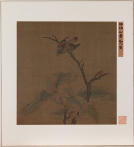 Vogel auf einem Ast von School Chinese