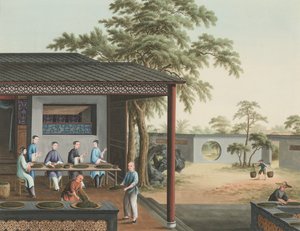 Teeproduktion von School Chinese