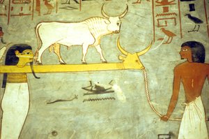 Altes Ägypten, Malerei, Grab von Ramses I., Götter der Unterwelt an Hathor gebunden, ziehen die Sonnenbarke von School Egyptian