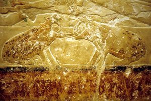 Altes Ägypten, Wandrelief/Malerei, Mastaba/Grab von Idout, Saqqara, 6. Dynastie, Zwei kämpfende Nilpferde