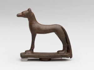 Schakal oder Hund