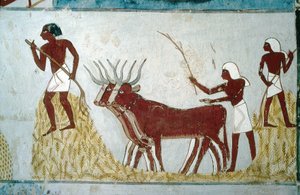 Luxor, Theben: Gräber der Adligen: das Grab von Nakht. Landwirtschaftliche Szene. Tal der Adligen.