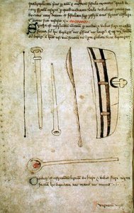 Ms Hunter 112 f.44v aus 