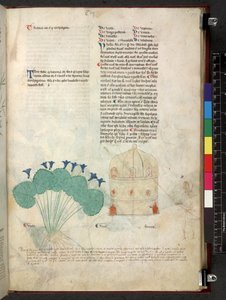 Egerton 747 Tractatus de herbis (Herbal) c.1280-1310 von School Italian