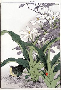 Vogel in den Blumen - Japanischer Druck von Japanese School