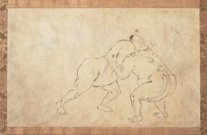 Sumo-Ringer