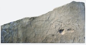 Hebräische Grabinschrift aus Beth Loya, Judäische Hügel, Israel, 6. Jahrhundert v. Chr. (Stein) von School Levantine