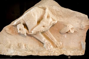 Wölfin und die Zwillinge Romulus und Remus von School Roman