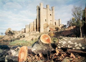 Das Castillo de Coyanza, erbaut im 14.-15. Jahrhundert von den Grafen von Valencia von School Spanish