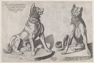 Speculum Romanae Magnificentiae: Zwei Hunde
