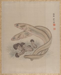 Aale, ca. 1890-92