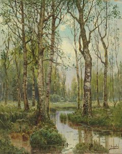 Ein Bach, der durch einen Birkenwald fließt