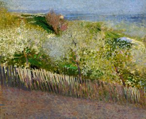 Landschaft