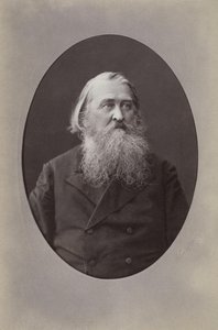 Porträt des Dichters Aleksey Nikolayevich Pleshcheyev 1825-1893, 1870