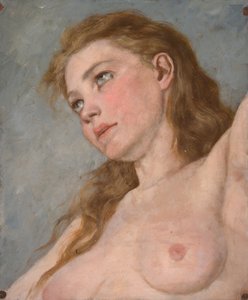 Aino von Severin Falkman