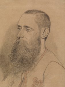 Porträt eines bärtigen Mannes von Severin Falkman