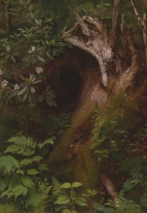 Das Eichhörnchen, 1860er-1870er Jahre von Seymour Joseph Guy