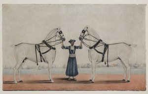 Ein Syce (Pferdeknecht) hält zwei Kutschpferde, ca. 1845 von Shaik Muhammad Amir of Karraya (attr. to)